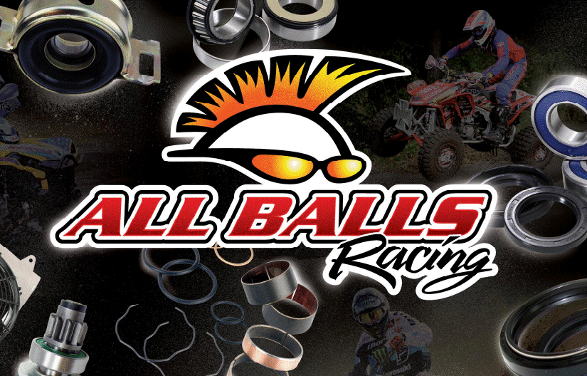 KIT ROULEMENTS DE BRAS OSCILLANT HONDA CRF250R-CRF250RX ENDURO-CRF450R-CRF450RX ENDURO ALL-BALLS / RA28-1222