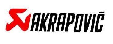 CATALYSEURS AKRAPOVIC POUR KAWASAKI ZZR1400 ET ZX14R 2016 À 2020 / P-KAT-054