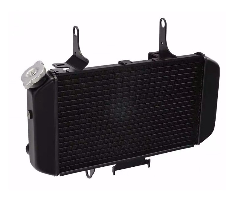 RADIATEUR D'EAU DE REMPLACEMENT EN ALUMINIUM TYPE ORIGINE POUR SUZUKI DL650 V-STROM 2004 À 2011 BRAZOLINE / RBRA2508
