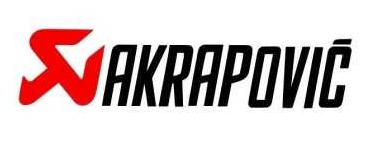 CATALYSEURS AKRAPOVIC POUR KAWASAKI ZZR1400 ET ZX14R 2016 À 2020 /  P-KAT-054