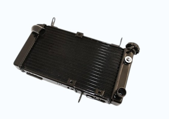 RADIATEUR D'EAU DE REMPLACEMENT EN ALUMINIUM TYPE ORIGINE POUR SUZUKI SV650 1998 À 2002 BRAZOLINE / RBRA2665